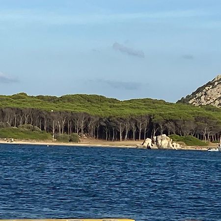 Club Esse Residence Capo D'Orso Palau Eksteriør billede